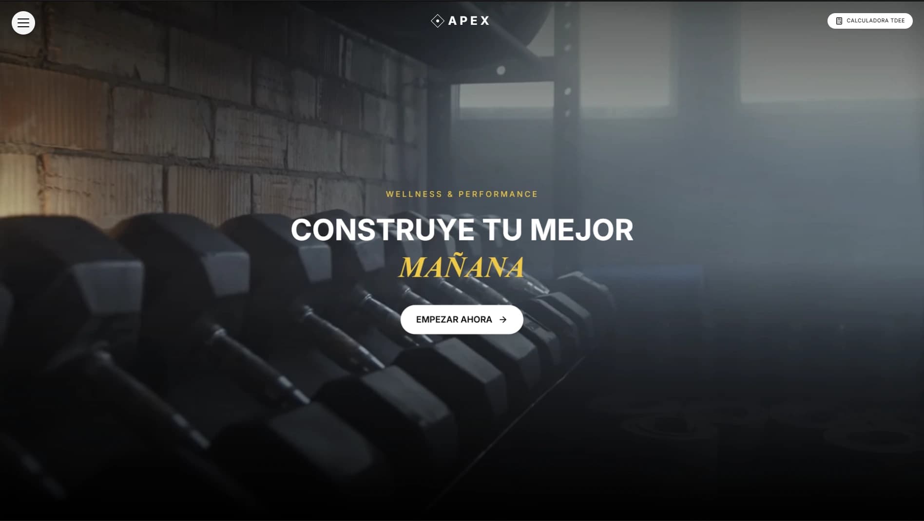 Proyecto Apex